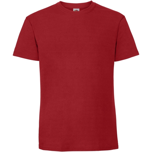 Abbigliamento Uomo T-shirts a maniche lunghe Fruit Of The Loom Premium Rosso