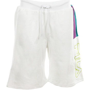 Abbigliamento Uomo Shorts / Bermuda Fila Ajay Short 