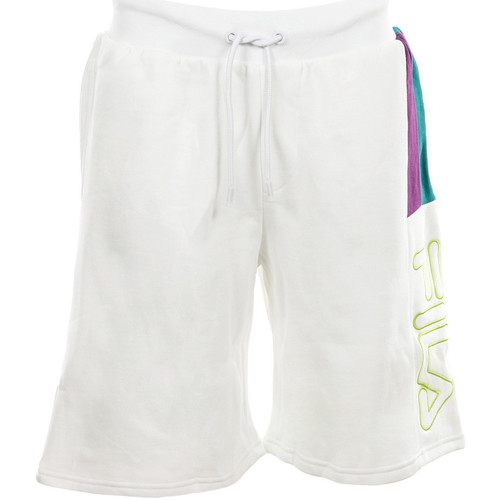 Abbigliamento Uomo Shorts / Bermuda Fila Ajay Short 