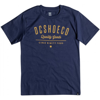 Abbigliamento Unisex bambino T-shirt & Polo DC Shoes Severance ss bo b Blu