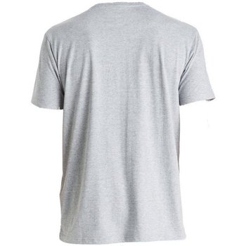 Abbigliamento Uomo T-shirt maniche corte Quiksilver T-Shirt Classic Always Clean Grigio