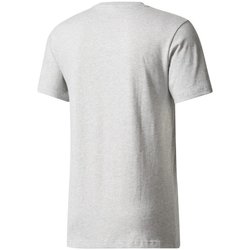 Abbigliamento Uomo T-shirt maniche corte adidas Originals T-Shirt PDX Classic Tee Grigio