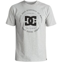 Abbigliamento Uomo T-shirt maniche corte DC Shoes T-Shirt Uomo Rebuilt 2 Grigio