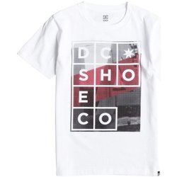 Abbigliamento Unisex bambino T-shirt maniche corte DC Shoes T-Shirt bambino La Panel Bianco