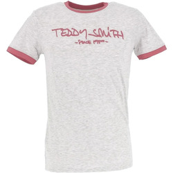 Abbigliamento Uomo T-shirt & Polo Teddy Smith TSHIRT  TICLASS 3 Grigio