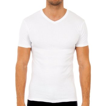 Abbigliamento Uomo T-shirt maniche corte Abanderado 0205-BLANCO Bianco