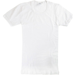 Abbigliamento Bambino T-shirt maniche corte Abanderado 0302-BLANCO Bianco