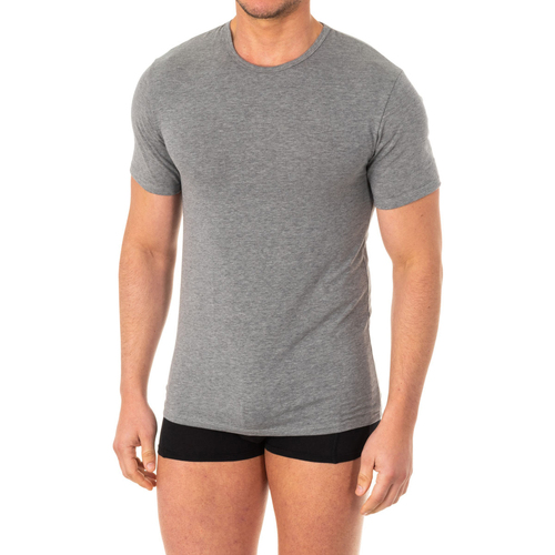 Abbigliamento Uomo T-shirt maniche corte Abanderado A040W-GRIS-VIGORE Grigio