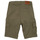 Abbigliamento Bambino Shorts / Bermuda Timberland TAO Verde