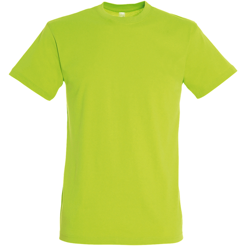 Abbigliamento Uomo T-shirt maniche corte Sols Regent Verde