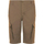 Abbigliamento Uomo Shorts / Bermuda Sols Jackson Rosso