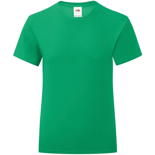 Abbigliamento Bambina T-shirts a maniche lunghe Fruit Of The Loom Iconic Verde