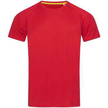 Abbigliamento Uomo T-shirt maniche corte Stedman  Rosso