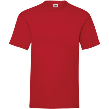 Abbigliamento Uomo T-shirt maniche corte Fruit Of The Loom 61036 Rosso