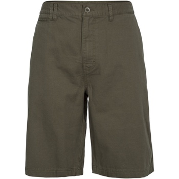 Abbigliamento Uomo Shorts / Bermuda Trespass Leominster Multicolore