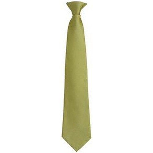 Abbigliamento Uomo Cravatte e accessori Premier PR785 Verde