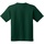 Abbigliamento Unisex bambino T-shirt maniche corte Gildan 5000B Verde