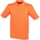 Abbigliamento Uomo T-shirt & Polo Henbury HB475 Arancio