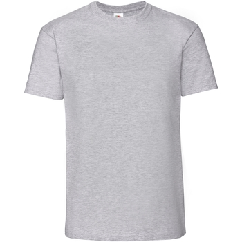 Abbigliamento Uomo T-shirts a maniche lunghe Fruit Of The Loom Premium Grigio