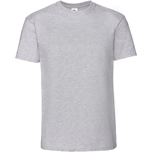 Abbigliamento Uomo T-shirts a maniche lunghe Fruit Of The Loom Premium Grigio