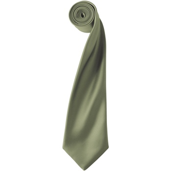 Abbigliamento Uomo Cravatte e accessori Premier PR750 Verde