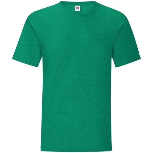 Abbigliamento Uomo T-shirts a maniche lunghe Fruit Of The Loom Iconic 150 Verde