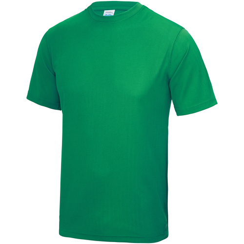 Abbigliamento Unisex bambino T-shirts a maniche lunghe Awdis JC01J Verde