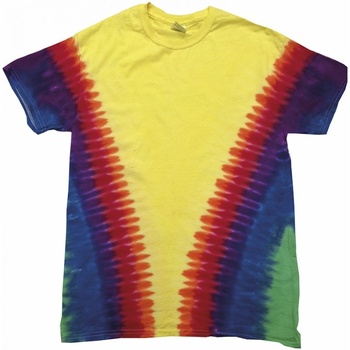 Abbigliamento Uomo T-shirt maniche corte Colortone TD05M Multicolore