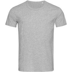 Abbigliamento Uomo T-shirts a maniche lunghe Stedman Stars Ben Grigio