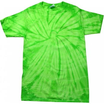 Abbigliamento Unisex bambino T-shirt maniche corte Colortone Spider Verde