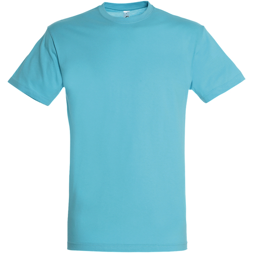Abbigliamento Uomo T-shirt maniche corte Sols Regent Blu