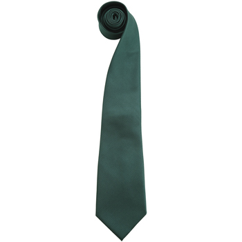Abbigliamento Uomo Cravatte e accessori Premier PR765 Verde