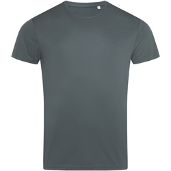 Abbigliamento Uomo T-shirts a maniche lunghe Stedman AB332 Grigio