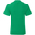Abbigliamento Uomo T-shirts a maniche lunghe Fruit Of The Loom Iconic 150 Verde