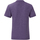 Abbigliamento Uomo T-shirts a maniche lunghe Fruit Of The Loom Iconic 150 Viola