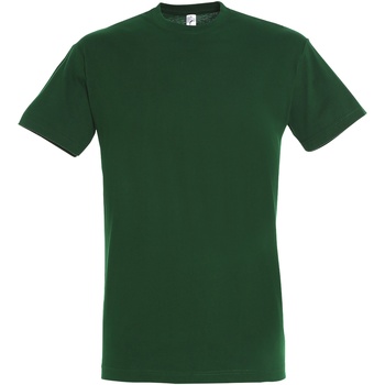 Abbigliamento Uomo T-shirt maniche corte Sols Regent Verde