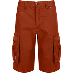 Abbigliamento Uomo Shorts / Bermuda Regatta Shorebay Rosso