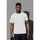 Abbigliamento Uomo T-shirts a maniche lunghe Stedman AB350 Bianco