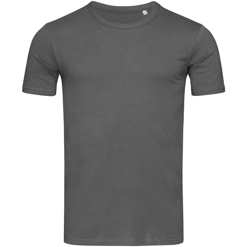 Abbigliamento Uomo T-shirts a maniche lunghe Stedman Stars Morgan Grigio