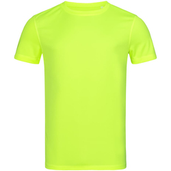 Abbigliamento Uomo T-shirt maniche corte Stedman Mesh Multicolore