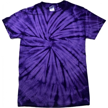 Abbigliamento Unisex bambino T-shirt maniche corte Colortone Spider Viola