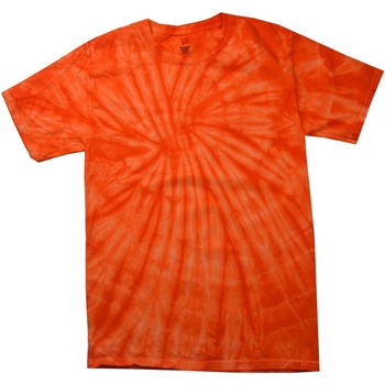 Abbigliamento Unisex bambino T-shirt maniche corte Colortone Spider Arancio
