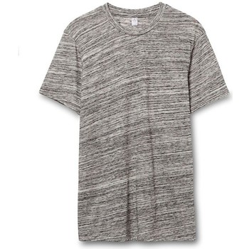 Abbigliamento Uomo T-shirts a maniche lunghe Alternative Apparel AT001 Grigio