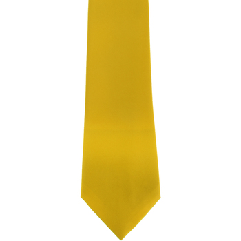 Abbigliamento Uomo Cravatte e accessori Premier Satin Multicolore