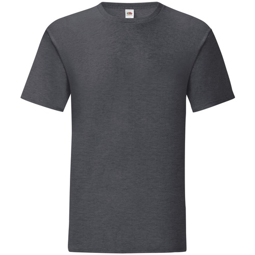 Abbigliamento Uomo T-shirts a maniche lunghe Fruit Of The Loom Iconic 150 Grigio