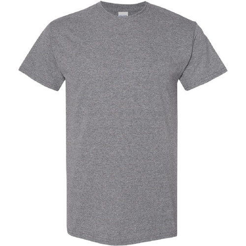Abbigliamento Uomo T-shirt maniche corte Gildan Heavy Grigio