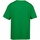 Abbigliamento Unisex bambino T-shirt maniche corte Gildan 64000B Verde