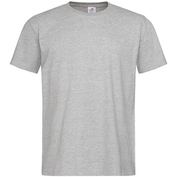 Abbigliamento Uomo T-shirts a maniche lunghe Stedman  Grigio