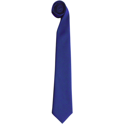 Abbigliamento Uomo Cravatte e accessori Premier RW6941 Blu