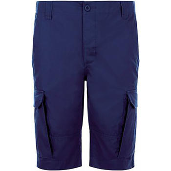 Abbigliamento Uomo Shorts / Bermuda Sols Jackson Blu